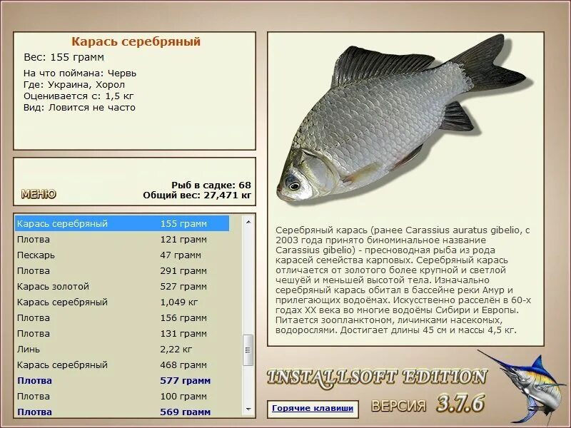 Русская рыбалка карась серебряный. Серебряный карась. Карась золотой и серебряный отличия. Серебряный карась сообщение краткое.