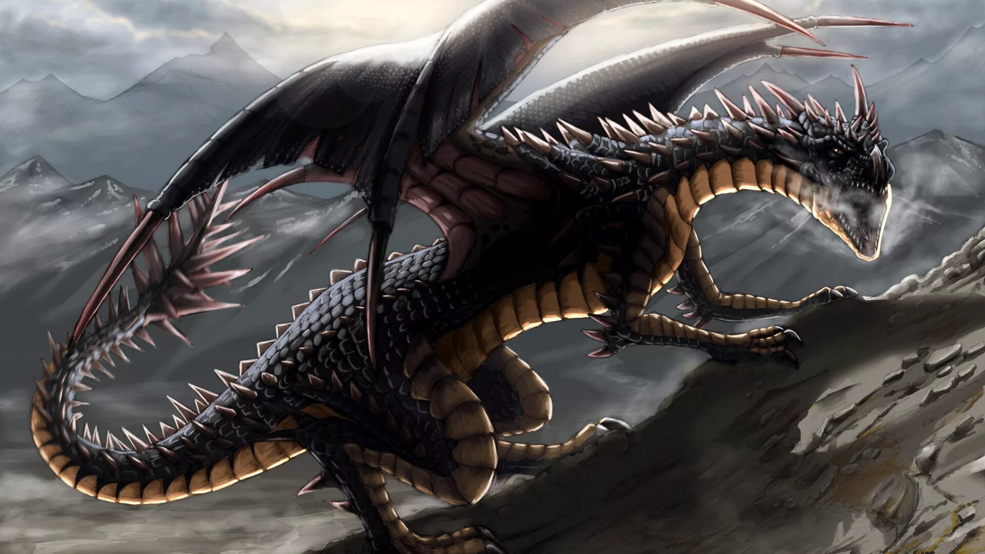 дракон вермитор дракона. антарийский дракон. гебриданский чёрный дракон. какой дракон лучше. какой дракон лучше.