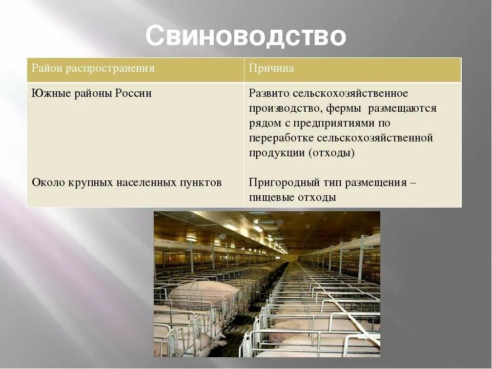 Факторы размещения водной отрасли. Сырьевые отрасли и их размещение. Сырьевые и топливные ресурсы топливной промышленности. Сырьевые и топливные ресурсы отрасли хозяйства. Сырьевые ресурсы отрасли и их размещение.