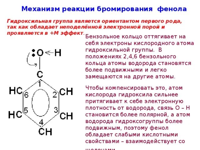 Гидроксильная группа в бензольном кольце. Фенол и бромная вода механизм реакции. Механизм реакции бромирования фенола. Фенол с бромом механизм реакции. Схема реакции взаимодействия фенола с бромом.