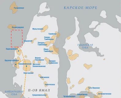 салмановское месторождение новатэк