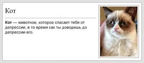 Коты и репрессии