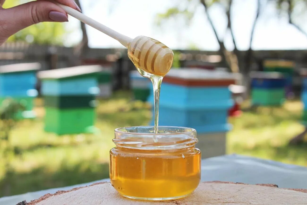 Мед разнотравье 3л свежий. Мёд цветочный. Майский мед. Мёд натуральный. Мало меда на пасеке