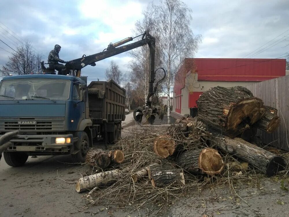 Вывоз веток деревьев. Вывозка веток с. вывоз порубочных остатков. вывоз деревьев с участка.