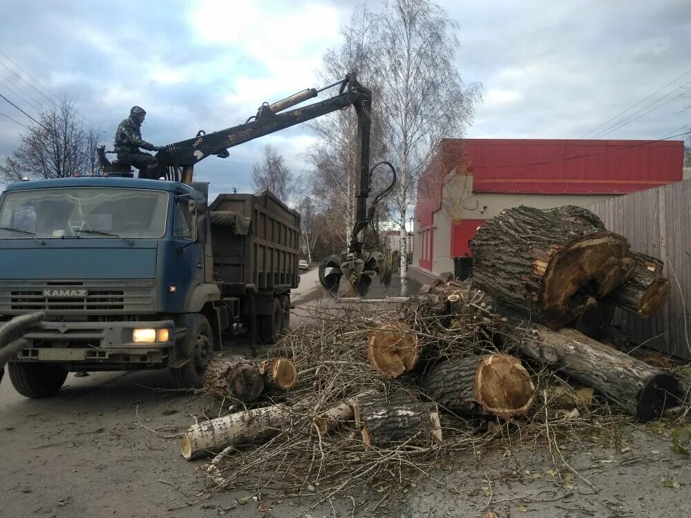 Вывоз веток с участка цена. Вывоз веток КАМАЗ. Вывозка веток с. Вывоз порубочных остатков. Вывоз веток деревьев.