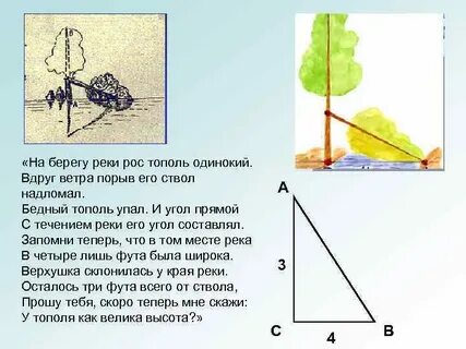 Расти рос росла росло упасть