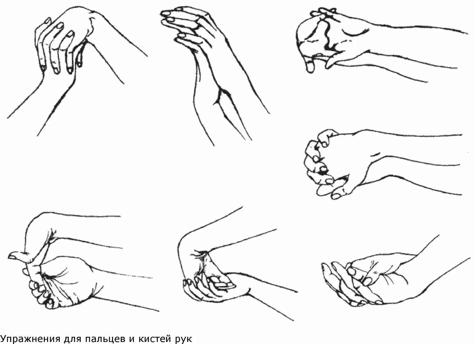 Разминочные упражнения для кистей и пальцев рук. Гимнастика для пальцев и кистей рук ЛФК. Лечебная гимнастика после перелома лучевой кости. Гимнастика для кисти после перелома. Комплекс лфк для лучезапястного сустава