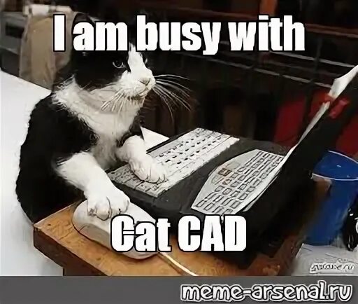 Im busy