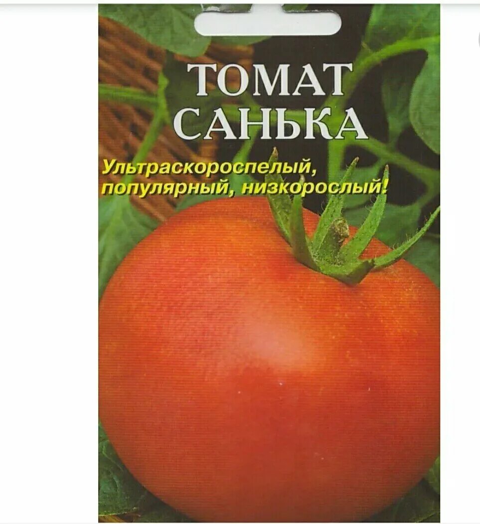 Томат Санька f1. Семена томата Санька описание. Томат Санька 20 шт. Томаты Санька описание сорта.