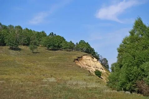 Пенза илим гора