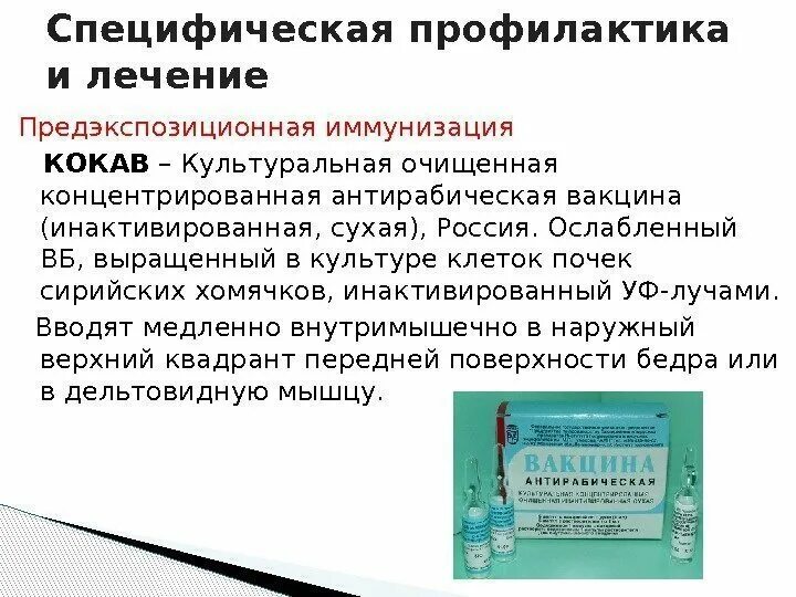 Антирабическая сыворотка схема вакцинации. Вакцина антирабическая культуральная. Антирабическая профилактика кокав. Вакцина антирабическая культуральная инактивированная сухая. Инструкция против бешенства