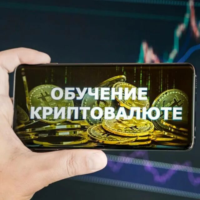 инвестирование криптовалюты. Bitcoin cash криптовалюта. с чего начать изучение криптовалюты. криптовалюта обучение. криптовалюта схема.