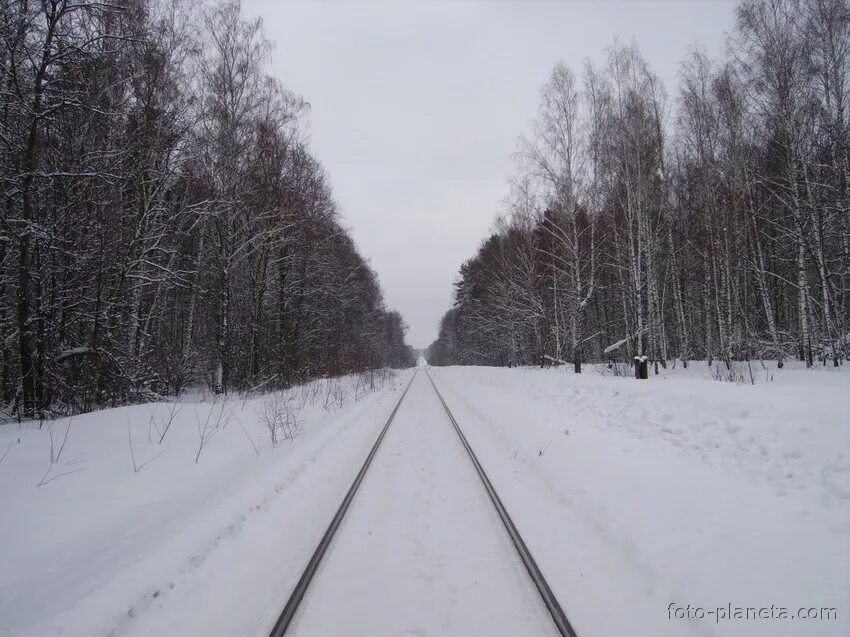 Погода в кудрявцево коломенский. Кудрявцево (московская область). Погода в кудрявцево коломенский. Кудрявцево коломна. Погода в кудрявцево коломенский.