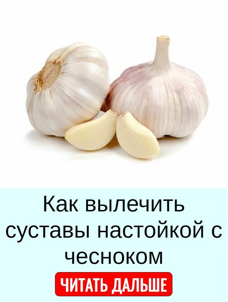 Чеснок для здоровья мужчин. Китайский чеснок. День чеснока. День любителей чеснока. Чеснок юмор.