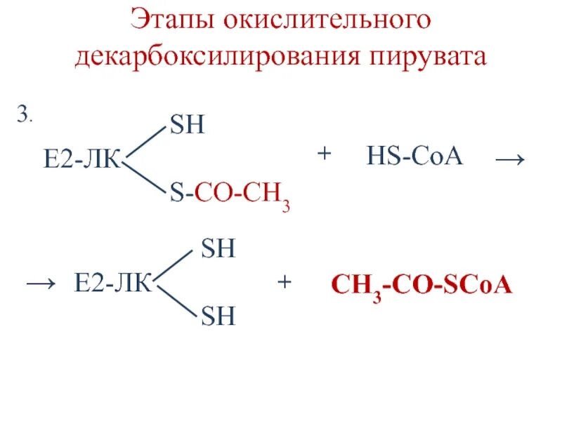 Окислительное декарбоксилирование реакции. Декарбоксилирование пировиноградной кислоты. Схема реакции окислительного декарбоксилирования пирувата. Этапы окислительного декарбоксилирования пировиноградной кислоты. Окислительное декарбоксилирование ПВК реакции.