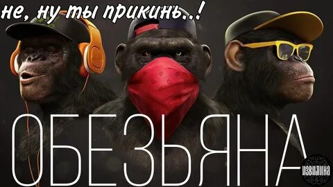 Обезьяне дали