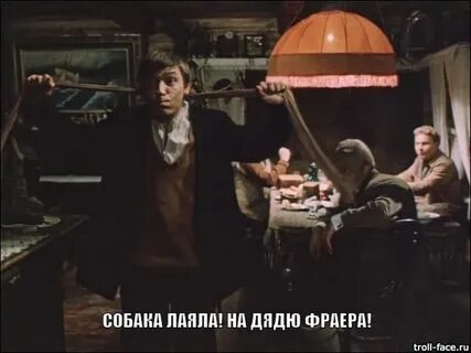 Собака лаяла на дядю фраера