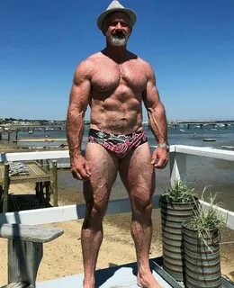 Old cock