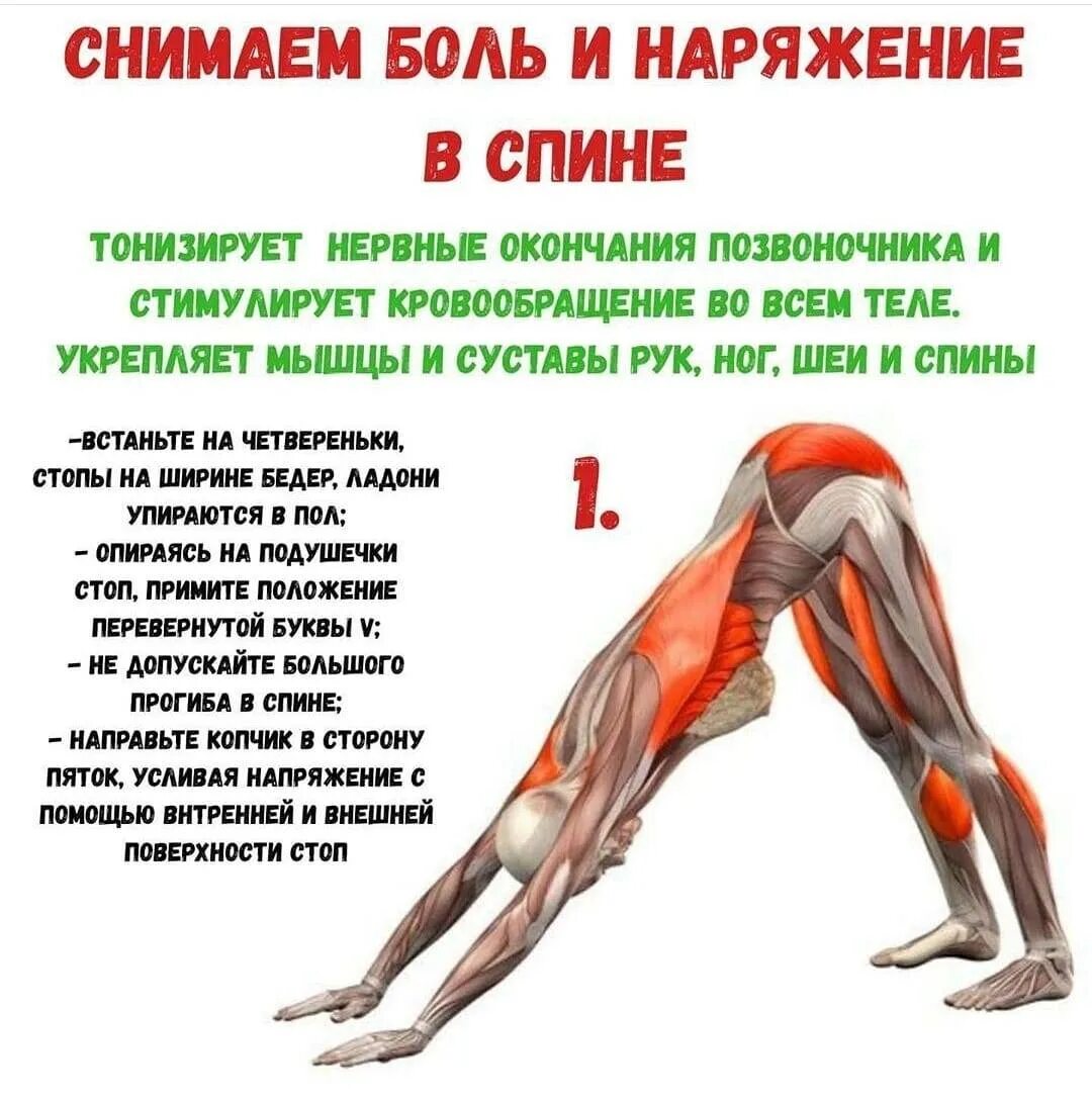 Боли в мышцах после ковида