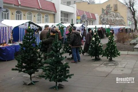 Назад в декабре