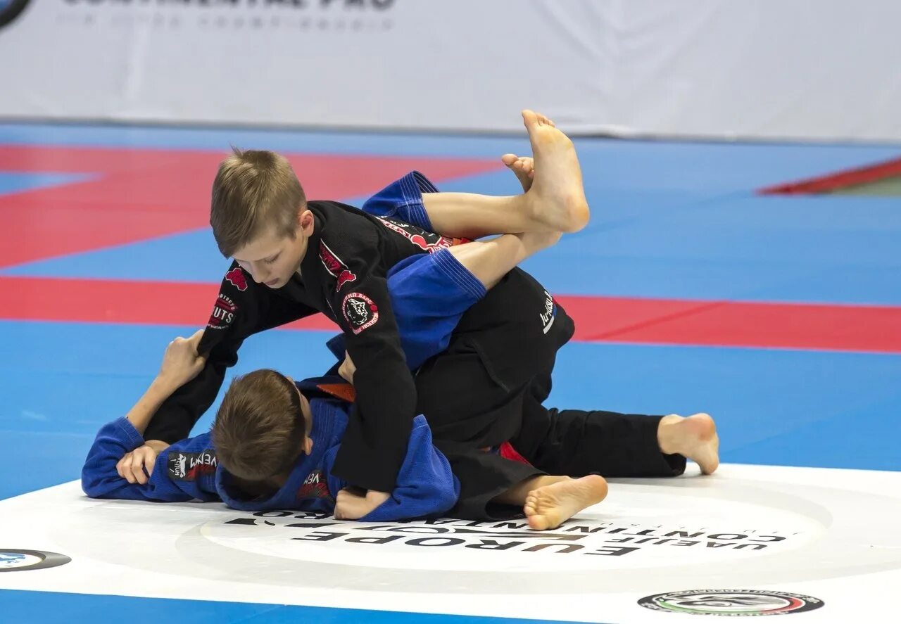 Барс ижевск спортивный клуб. Клуб боевых искусств. Сибирский барс клуб. Сибирский барс. Клуб боевых искусств.