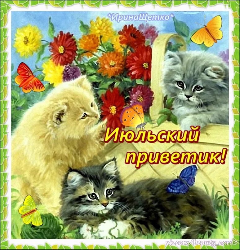 Открытки с добрым июльским днем. Интересные пожелания на день. Открытки с добрым июльским утром. Июльский привет открытки. Июльский приветик.