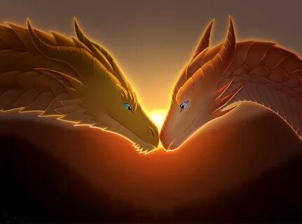 Dragon love