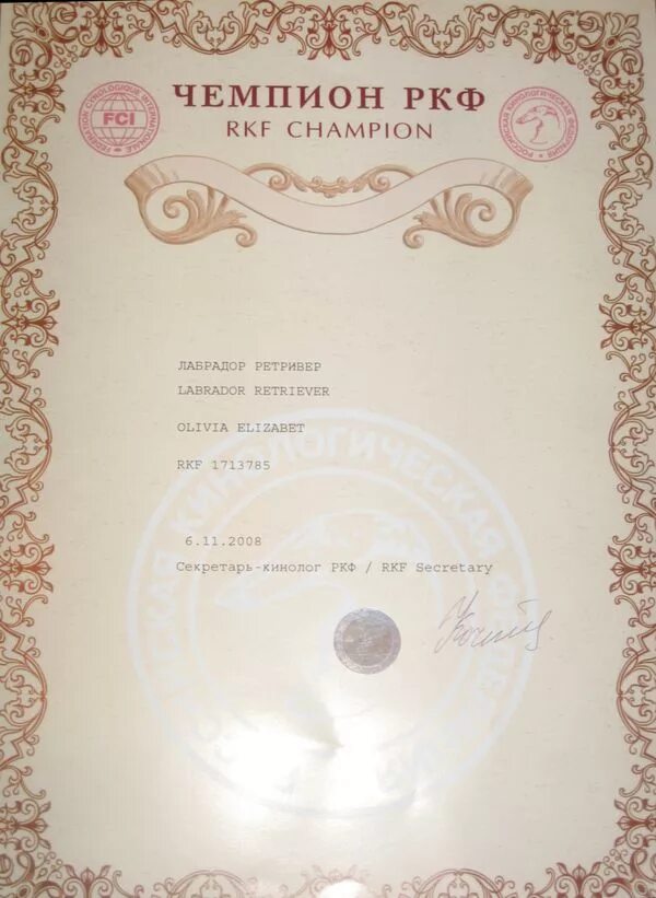Судьи по рабочим качествам собак ркф список. Сертификат чемпион ркф. Гранд чемпион ркф 2022. Чемпион ркф как получить. Диплом юного чемпиона россии ркф.