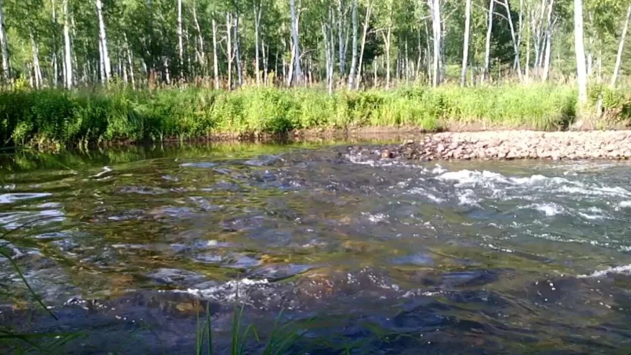 Гудит реки. Журчание реки. Шумная река. Звук реки.