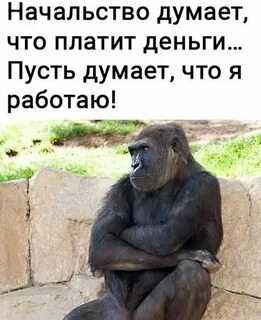 Что она заплатила