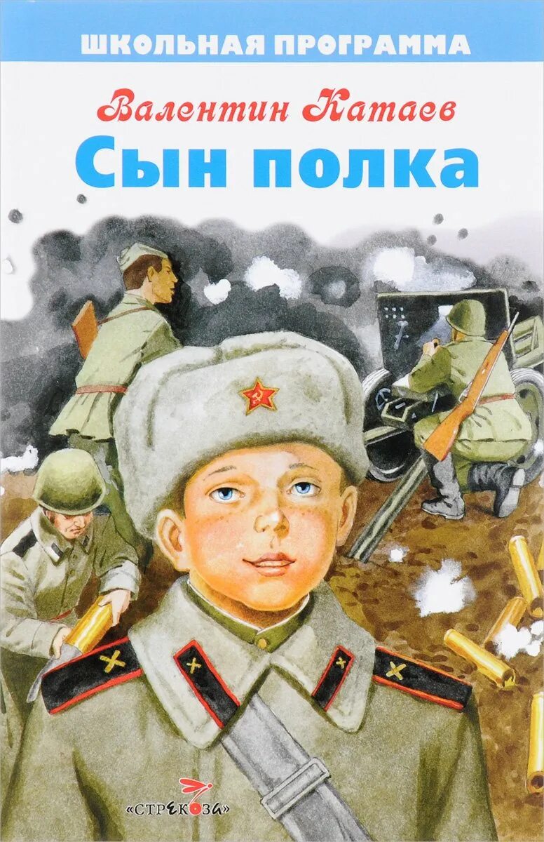 Книги о вов для детей. Книга о ВОВ Катаев сын полка.