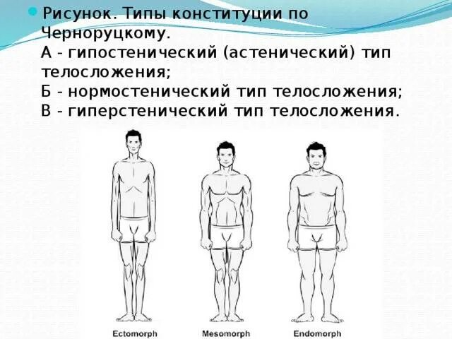 Астеник определить. Астеник тип телосложения у мужчин. типы конституции тела человека астеник. типы конституции человека по черноруцкому. нормостенический тип, астенический тип, гиперстенический тип,.