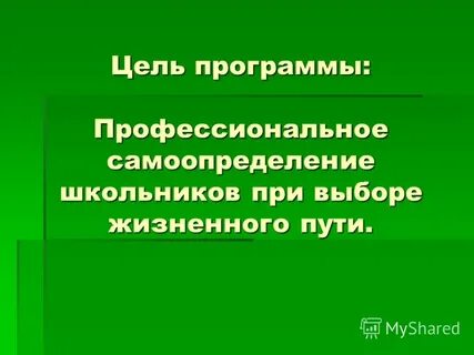 Программа профессионального самоопределения