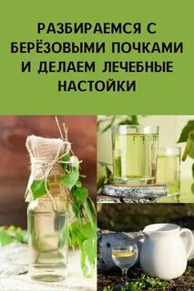 Применение настойки березовых почек
