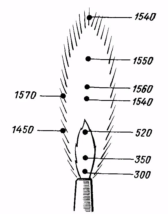 газовая горелка строение пламени химия 8 класс. температура горения огня зажигалки. горение синего пламени. температура пламениисвеси. спектр пламени газовой горелки.