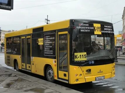 202 автобус спб