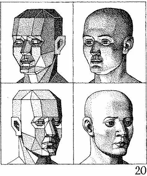 Строишь какое лицо. Светотеневой рисунок лица. Светотеневой рисунок человека. Схема теней на лице. Светотеневой рисунок головы человека.