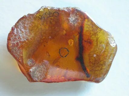 Amber rock