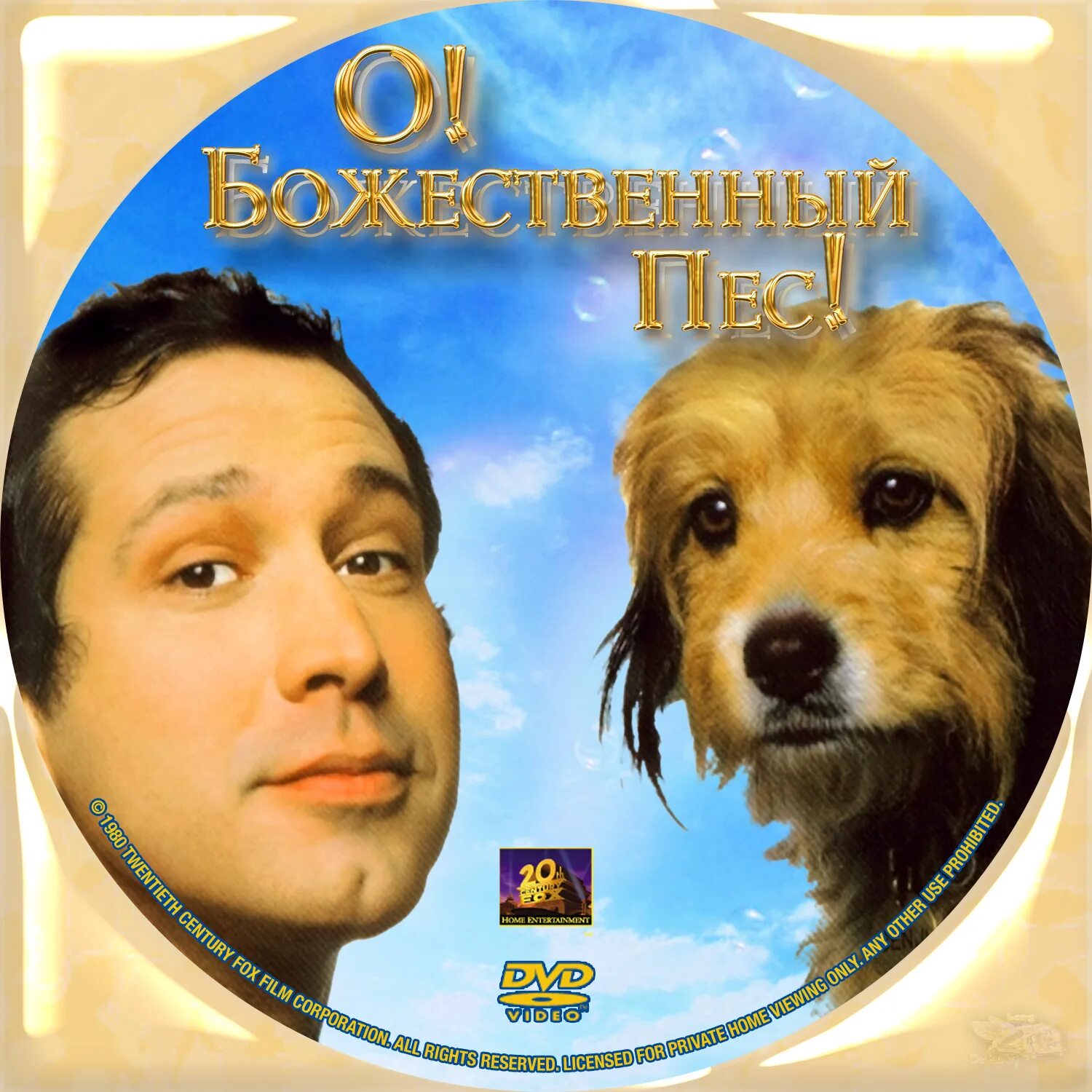Пес 1980. О, божественный пес! фильм 1980. божественная собака. божественный пес собака. божественный пес сюжет.
