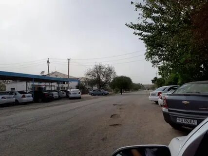 Погода кунград сегодня