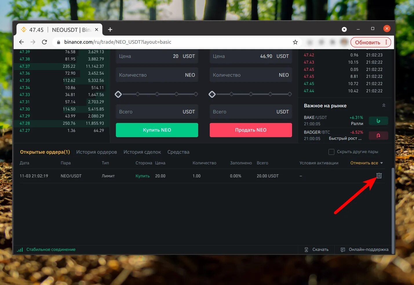 Отмена ордера. P2p Бинанс ордер. Ордера на Бинансе. P2p сделка Binance ордер. Отменить ордер на Бинанс.