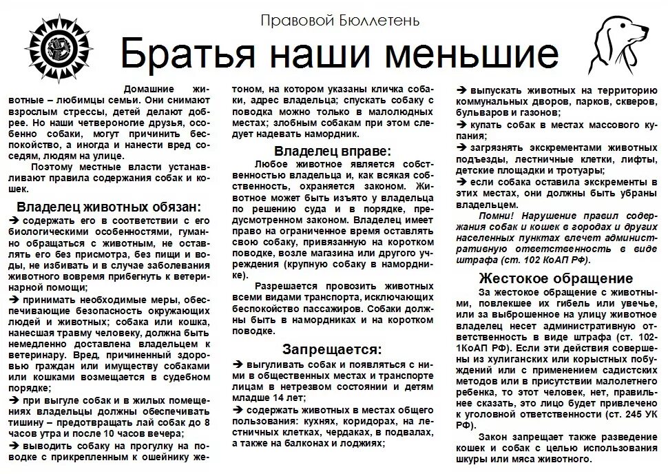 Братья наши меньшие презентация. Братья наши меньшие презентация. Отношение к братьям нашим меньшим. Забота о братьях наших меньших сочинение. Презентация на тему о братьях наших меньших.