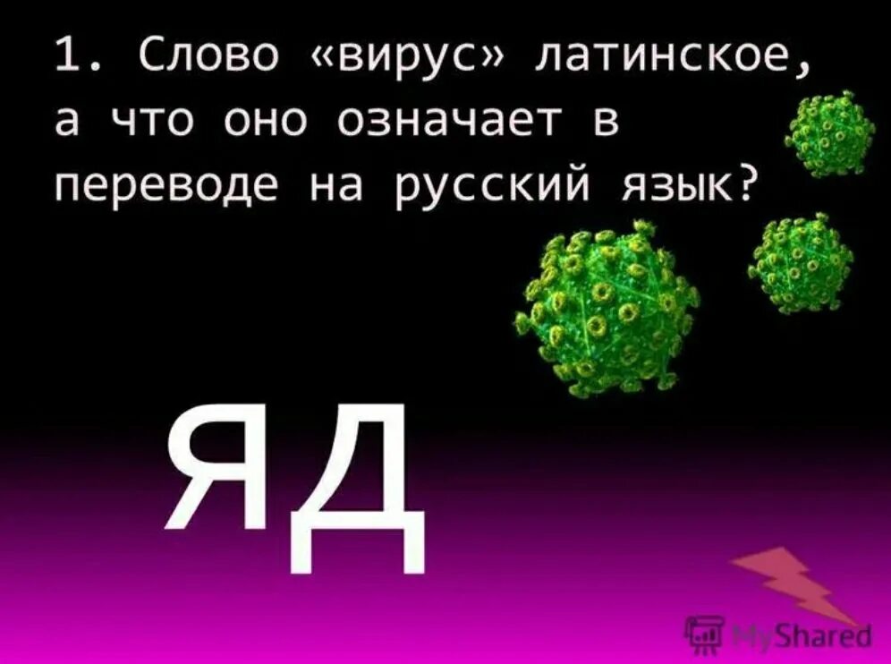 Вирус перевод с латинского. Вирусы латынь. Вирус от латинского virus. Вирус на латинском языке. Что значит латинское слово