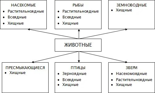 Классификация животных окружающий мир 3 класс. Кластер многообразие животных. Группы животных схема. Кластер классификация животных. Многообразие животного мира таблица.