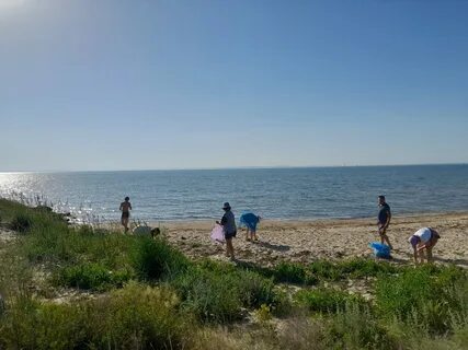 Море в тамани сегодня