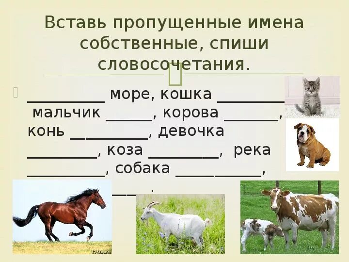 Прочитайте вставьте в предложения слово конь употребив. Имена собственные клички животных. Карточка клички животных. Найди имена собственные. Имена собственные и нарицательные карточки.