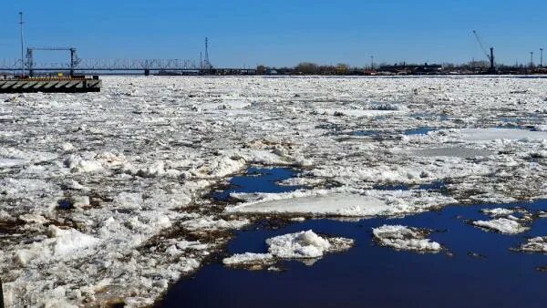 Архангельск ледоход на Северной Двине. Архангельск Северной Двины 2022. Ледоход в Архангельске. Ледоход Северная Двина 2023 Великий Устюг.