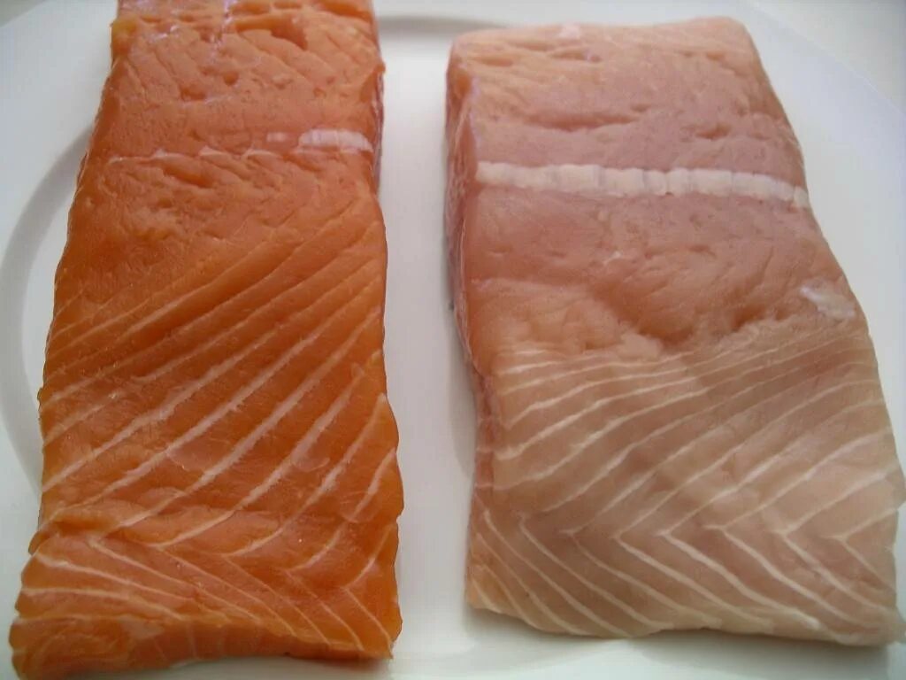 Мясо рыбы каких можно есть. Настоящий цвет лосося. Мясо семги. Натуральный цвет семги. Лосось цвет рыбы.