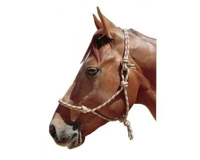 Нити әкесі мас қызын порно видеоны тегін жейді