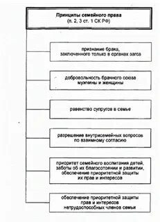 Семейное право и конституционное право соотношение
